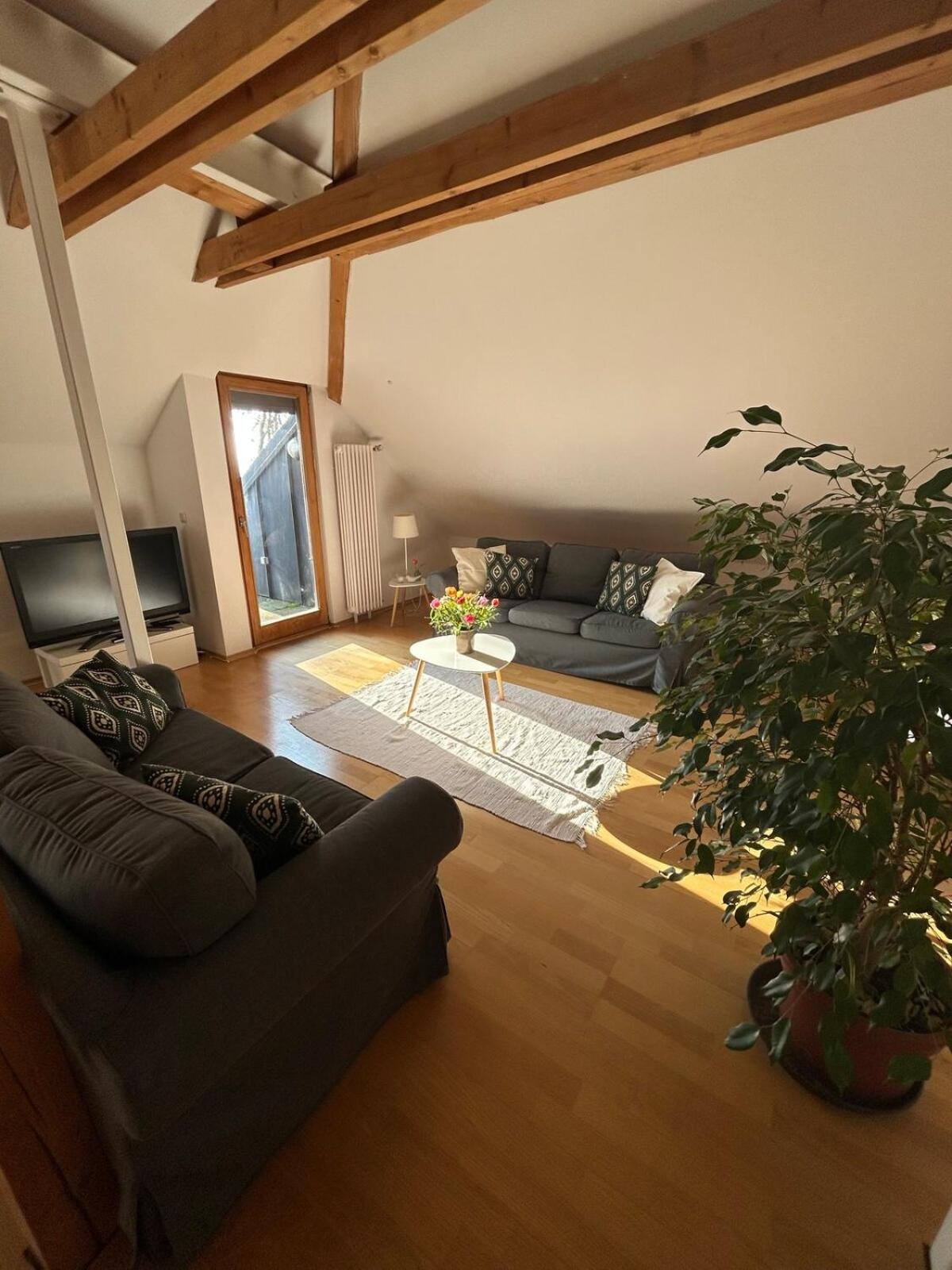 Grosse Wohnung Mit Dachterrasse In Штарнберг Экстерьер фото