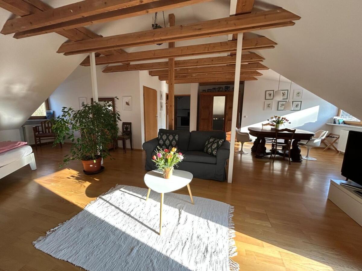 Grosse Wohnung Mit Dachterrasse In Штарнберг Экстерьер фото